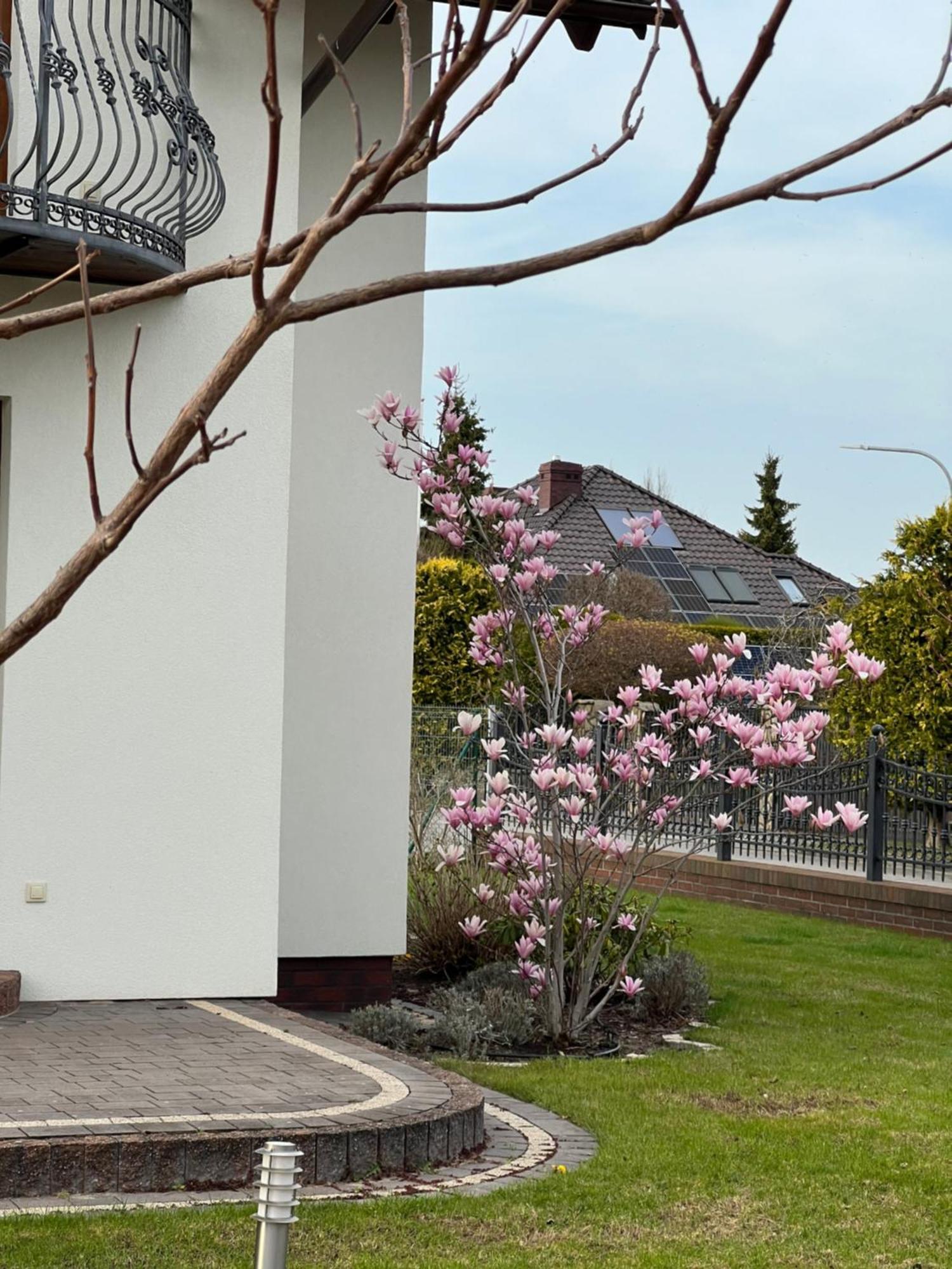 Apartamenty Bursztynowe Dębki Εξωτερικό φωτογραφία